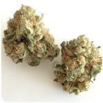 Шишки "White Widow" (Белая вдова) Гидропоника - Бошка VHQ в Крымске Шишки "White Widow" (Белая вдова) Гидропоника - Бошка VHQ в Крымске